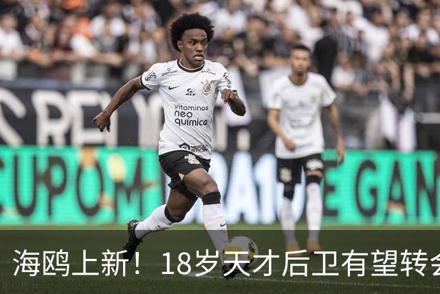 海鸥上新！18岁天才后卫有望转会英格兰，天赋顶级布莱顿要买